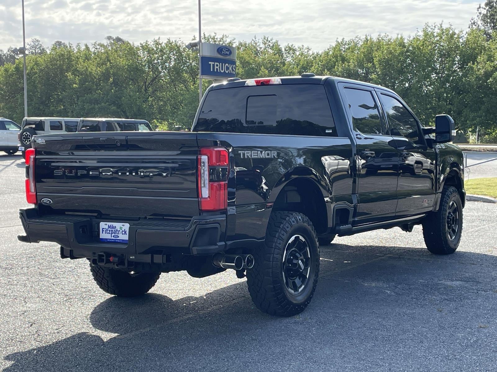 2025 Ford Super Duty F-250 SRW Platinum 4WD Crew Cab 6.75' Box