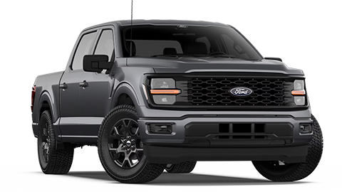 Mike Fitzpatrick Ford in Newnan GA
