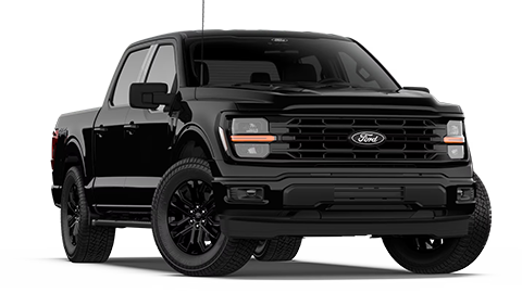 Mike Fitzpatrick Ford in Newnan GA